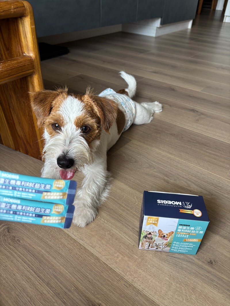 女人知己試用大隊,口碑行銷,部落客行銷,Moegis萌吉 腸道生機專利RBE益生菌,寵物益生菌,專利RBE益生元,專利蔬果酵素,小分子胜肽,藍藻粉,維持免疫力,幫助維持消化道機能,維持正常食慾,改變細菌叢生態,腸胃保健,犬貓適用